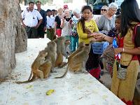 8 - Mandalay - Sagaing - Monywa (59)